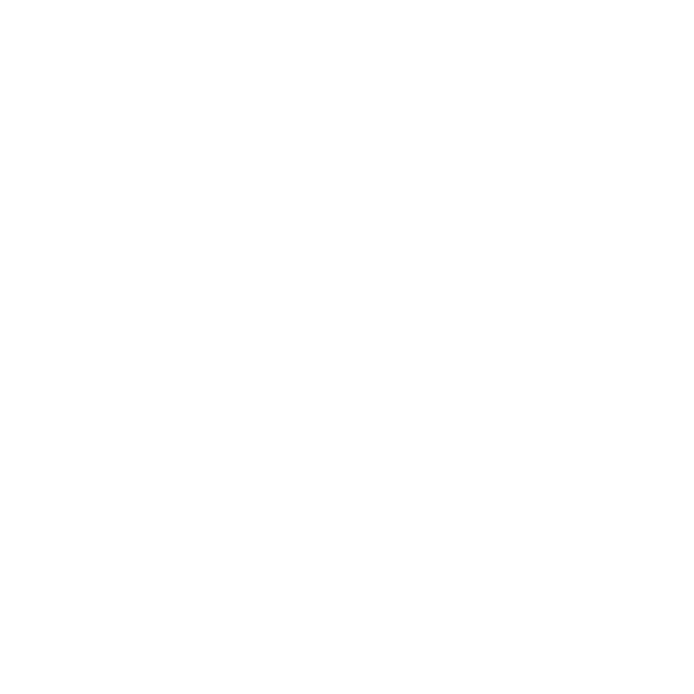 logo white no bg
